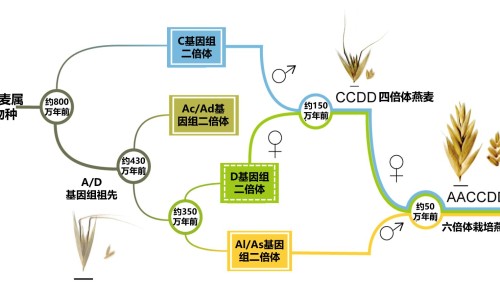 癌症病人一咳嗽起来狂喷痰液-肺癌咳白痰是怎么回事、肺癌咳嗽白色粘痰 -癌症病人咳白痰网