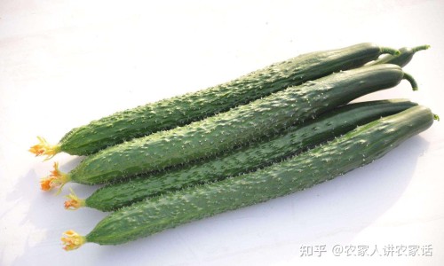 癌症病人一咳嗽起来狂喷痰液-肺癌咳白痰是怎么回事、肺癌咳嗽白色粘痰 -癌症病人咳白痰网
